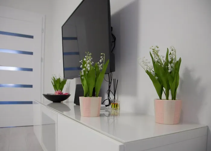 Appartement Borowska *