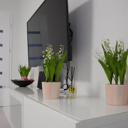 Apartment Borowska *